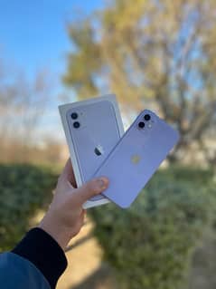 Iphone 11 - 128 gb