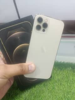 12 pro