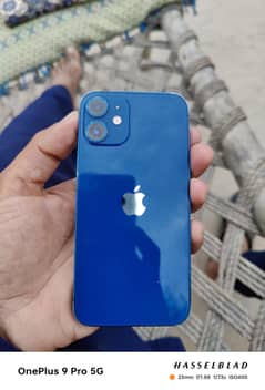 iPhone 12mini