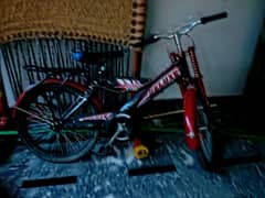 chines cycle