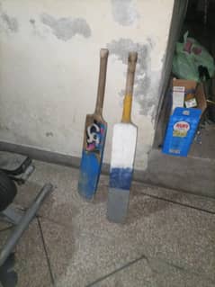 cricket