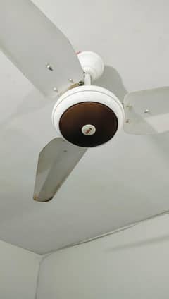 Rado Ceiling Fan For Sale Condition 10/08