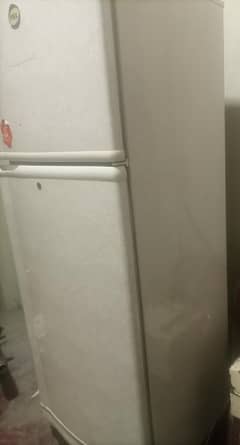 fridge jumbo size