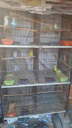 4 cages for parrots