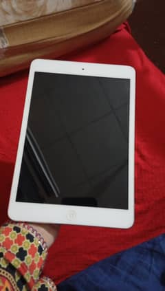 iPad mini 2