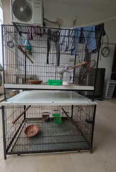 lovebirds cages