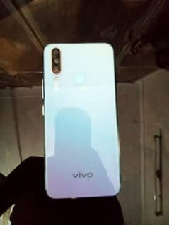 vivo