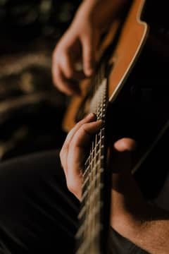 Guitar
