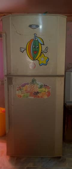 hair refrigerators