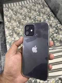 iPhone 12