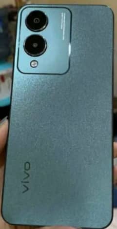 vivo