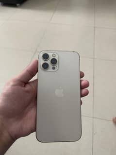 Iphone 12 pro max pta approved