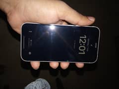 12 mini
