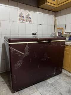 freezer