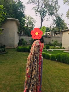 A beautiful and elegant Saree