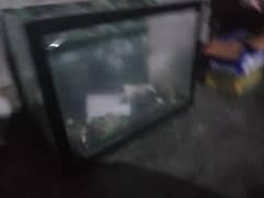 fish aquarium