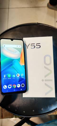 vivo