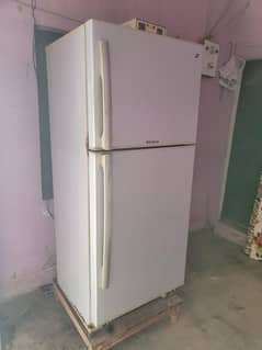Pel refrigerator full size