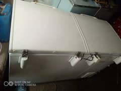 Ways company k hai genions hai no repair 2 door hai full size 10/10