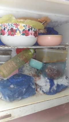 orient fridge