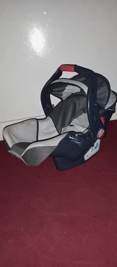 carry coat