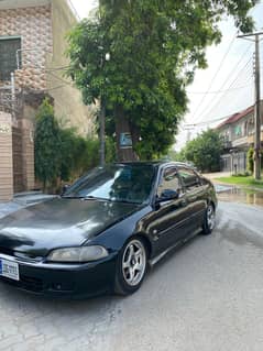 Honda civic eg 1995 dolphin