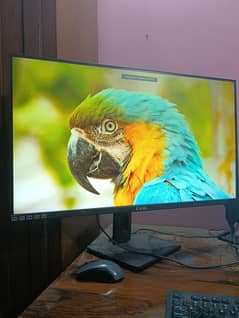EASE G32I16 32″ IPS Gaming Monitor 165HZ (YELLOW SHADED)