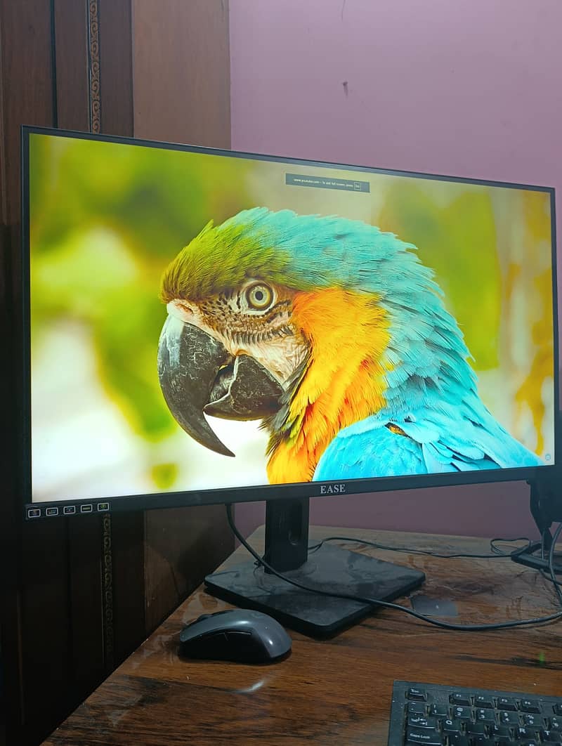 EASE G32I16 32″ IPS Gaming Monitor 165HZ (YELLOW SHADED) 0