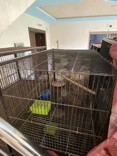 Birds cages for sale x6 (read description)