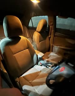 Carolla gli