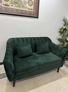 2 seater luxurious sofa- molty foam