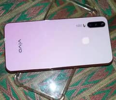 (VIVO