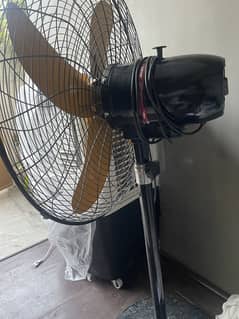 New Fan
