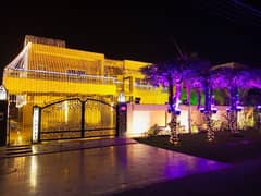 Wedding Light Birthday Dholki Mayo Decoration Photography