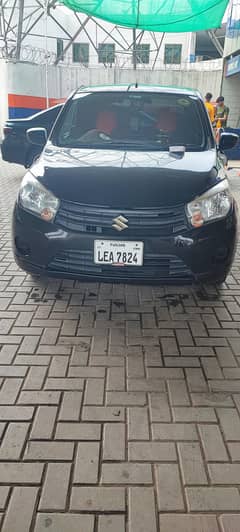 Suzuki cultus