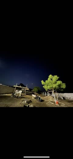 Plot for cattle farm or warehouse