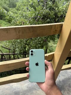 Iphone 11 Pta Approved