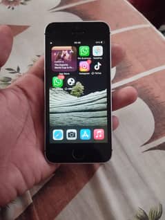 iPhone se