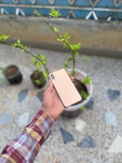 iphone xs official pta approved 64 gb all ok