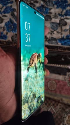 Infinix 50 pro plus 16/256