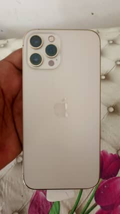 iPhone 12 Pro Max physical dual Sim PTA approve