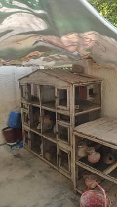 Parrot & Hen Cage