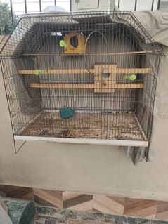 birds cage for sale