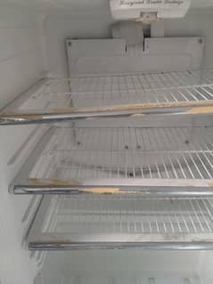 fridge large size