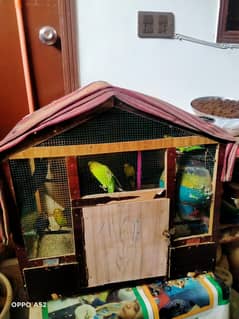 birds cage