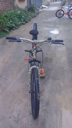 mountain Bike