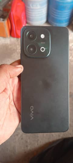 vivo