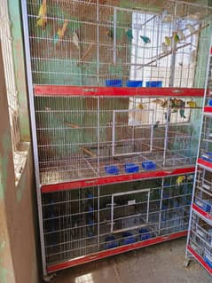 colony cage and portion cage