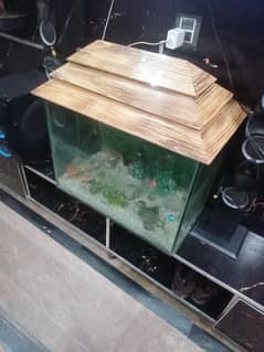 fish