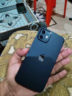 Iphone 12 in reasonable price